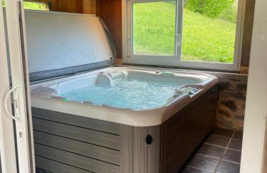 Logement à côté de la station de ski le Lioran dans le Cantal - Foto 24