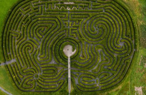 Lilys Pink House - Photo 50