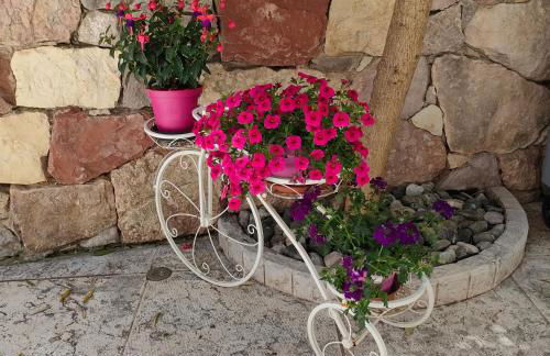 Garda Sweet Apartments - Foto 17