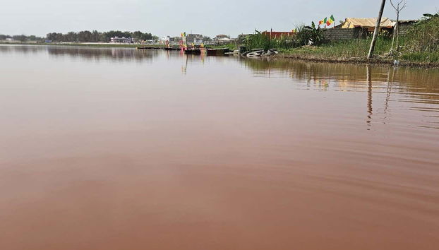 Excursión privada a la Reserva de Bandia y Lago Rosa - Foto 2, Vistas del intenso color rosa del lago