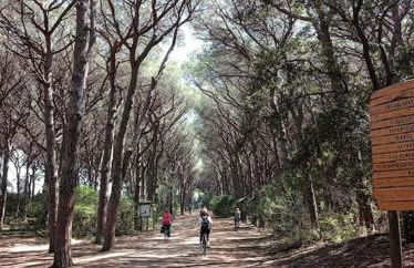 Casa Rosa Marina di Cecina - Foto 25