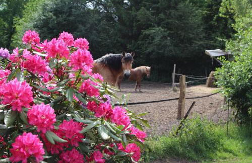 Ferienhof Heins - Foto 37