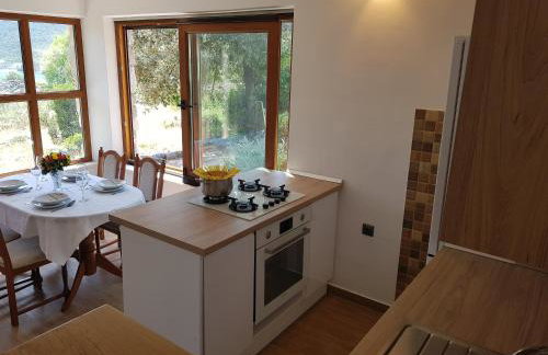 Holiday Home Strpuncina - Photo 28