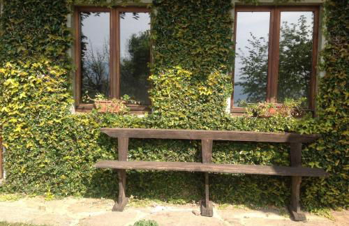 Il Ciliegio Selvatico - Foto 22