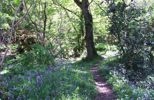 Brynifor Llangrannog - Photo 17