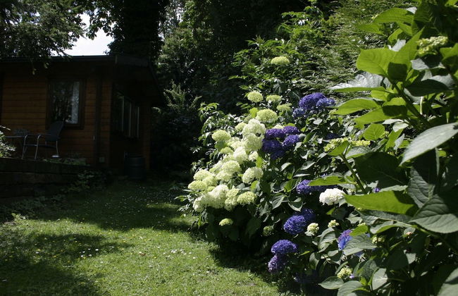 Chalet in Netherlands With Private Garden - Foto 14
