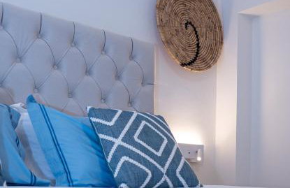 Coconut Blue - Photo 10