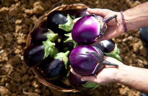 Agriturismo Al Lago Verde - Foto 54