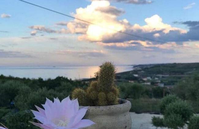 Il Giardino fra gli Ulivi - Foto 43