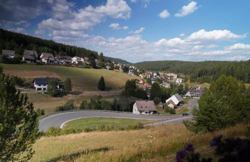 Schwarzwaldblick - Foto 37