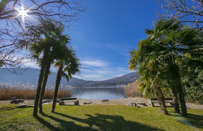 Little Love 207 - Foto 19