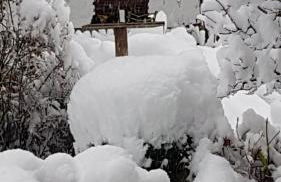 Ferienwohnung Moosegger - Foto 12