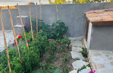 Fteri Stone House in Platanos, Akrata - Foto 17