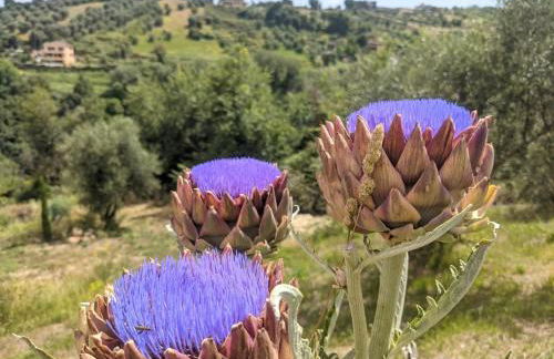 Accomodation in villa with pool & parking near Rome - Foto 36