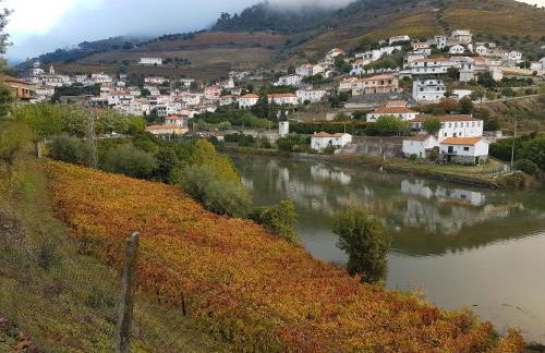 Casa grande Covelinhas - Foto 29