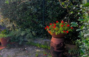 Appartamento San Felice - Foto 20