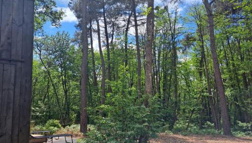 Cabin indebos - Foto 5, Garden, Garden view