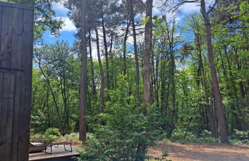 Cabin indebos - Foto 5