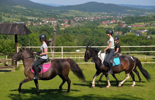 Bacówka Biały Jeleń - Photo 47