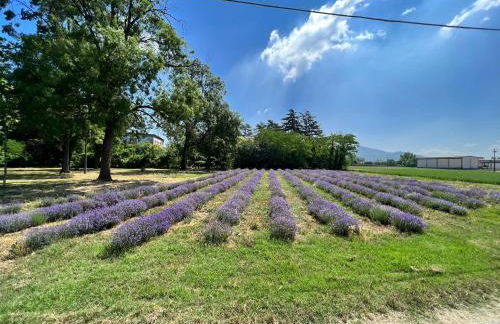 Tenuta Pizzone Wine Resort - Foto 76