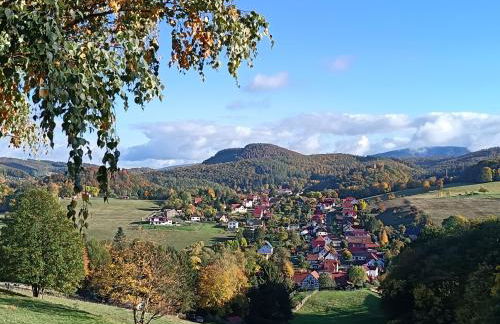 Ferienwohnung Gute Zeit - Foto 16