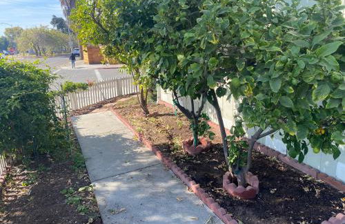 Work and Gym Hideaway - Foto 52