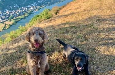 Chalet Lasserg - Foto 49