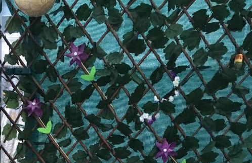 Serendipia - Foto 26