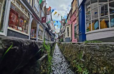 Bumblebee checkout 2pm Frome Longleat Aqua Sana Bath 5 people PRIVACY - Foto 19