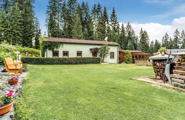 Ferienhaus mit Schwimmbad in Jagersgrun - Foto 25