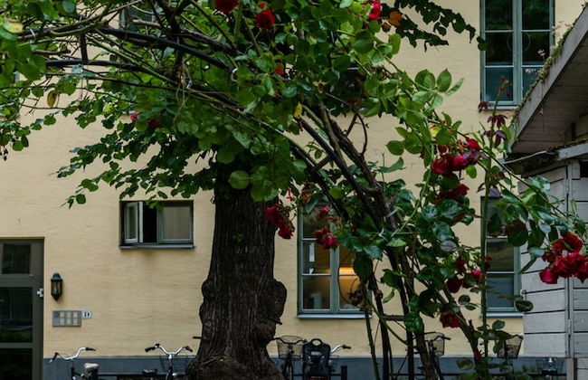 The More Hotel Mazetti - Foto 56