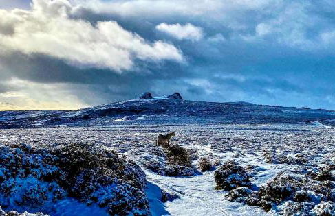 Haytor Court, Haytor, Dartmoor - The Moor on Your Doorstep - Foto 7
