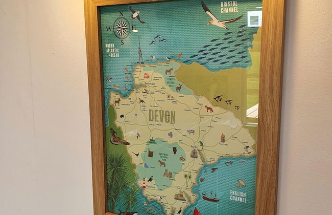 Dartmoor Reach Alpaca Farm - Foto 18