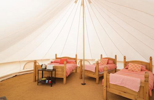 Tumbling Tom - Foto 6