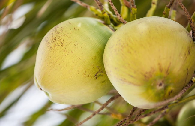 Northwest Point Resort - Foto 43