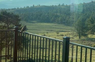 Buffalo Cabin - Foto 29