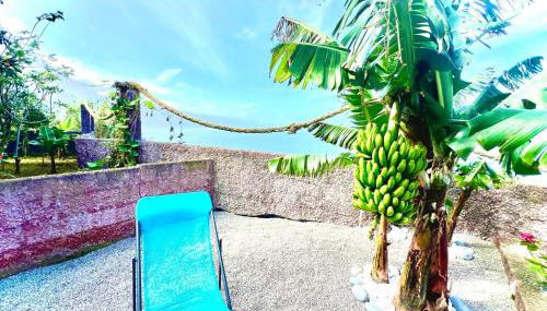 Casa Do Pico - Foto 5, Garden, sunbed, Garden view