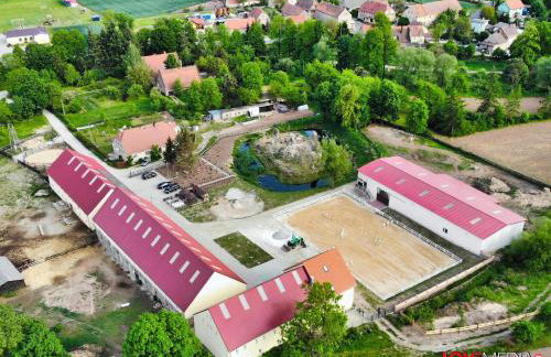 Stadnina Koni w Kłaczynie - Foto 2