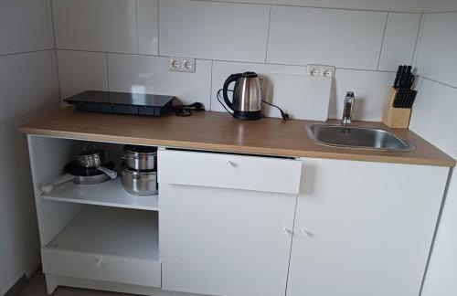 Adasflats Goose - Foto 10