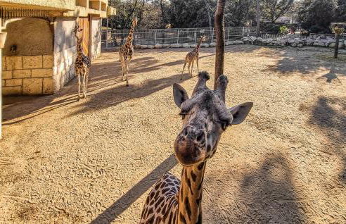 Beautiful Home In Ronce-Les-Bains - Foto 26