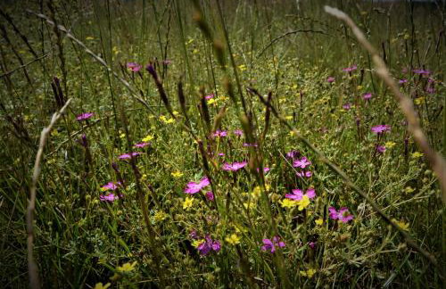 Malanówka II Radęcin - Foto 23