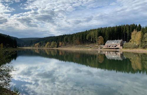 Holidayhaus-Lütsche / Wohnung Schmücke - Photo 8