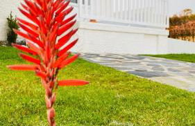 Best Beach Front Villa with Heated Pool - Sea La Vie - Photo 22