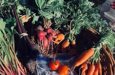 The Bryan House, Where History & Nature Meet! - Foto 59