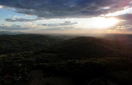 Szumią Dęby - Marcyporęba - Photo 25