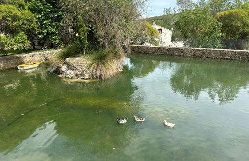 Ca l'Oreneta - Foto 52