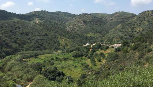 Malhada do Sao - Foto 5