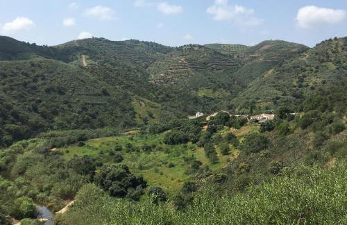 Malhada do Sao - Foto 5