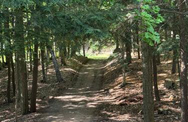 Crystal View Hideaway - Spectacular Lakeview! - Foto 21