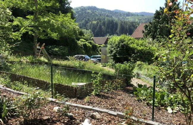 Apartment at the Edge of the Forest - Foto 28